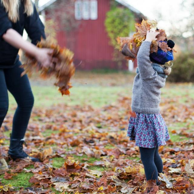 En höstbild där ett barn och en kvinna leker med höstlöv och kastar dem upp i luften.